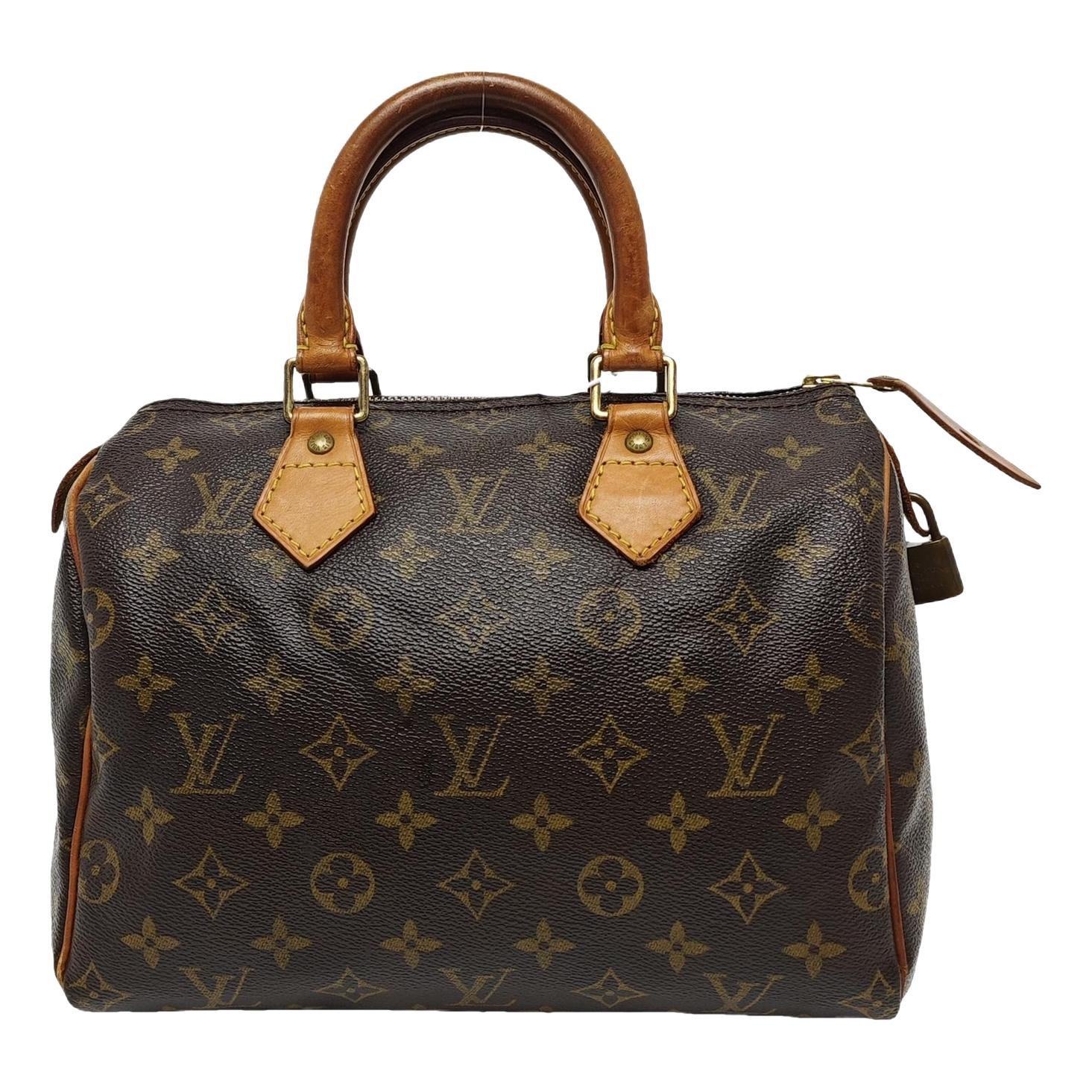 Nano Speedy / Mini HL leather handbag