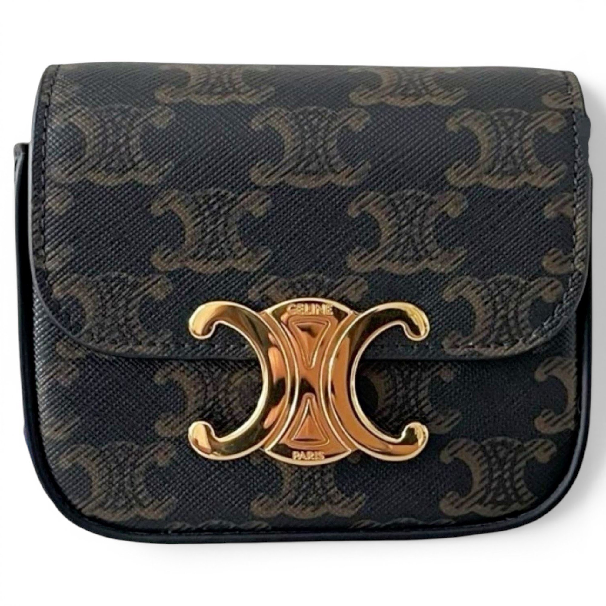 Triomphe leather bag
