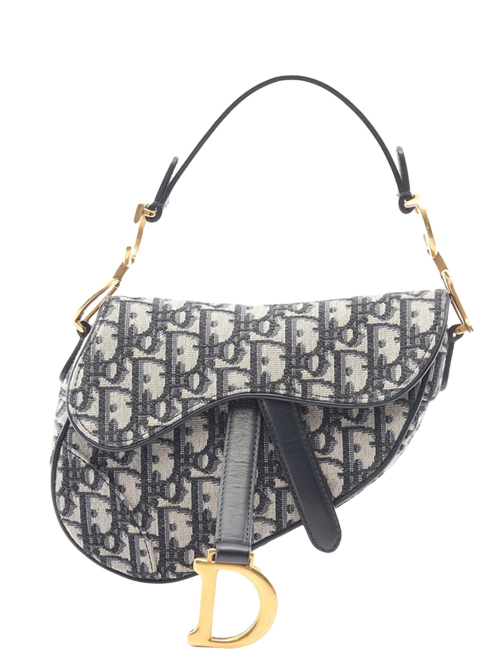 2010-2026 Mini Oblique Canvas Saddle Bag satchel