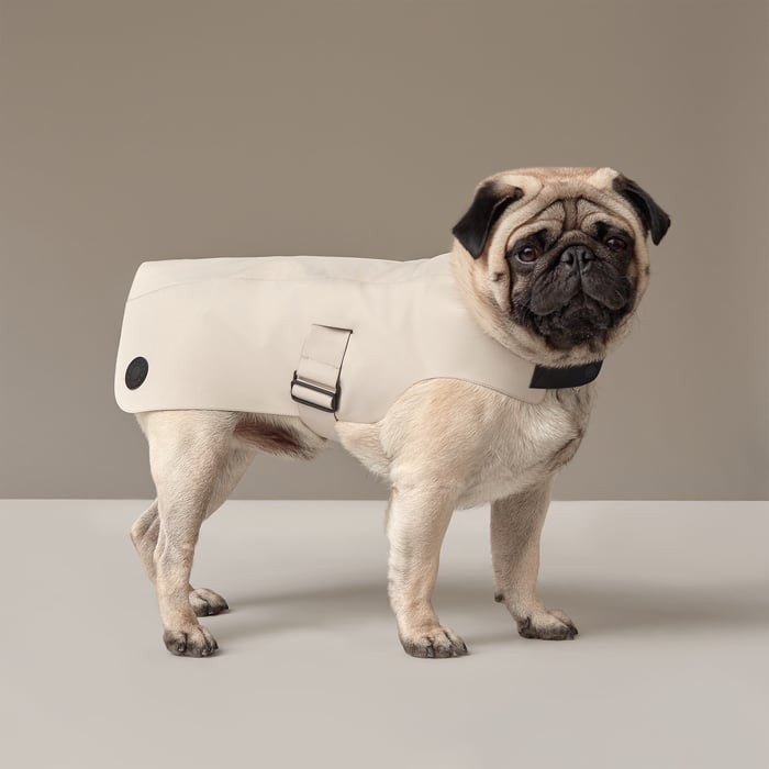 Dog Raincoat, Xs and S
