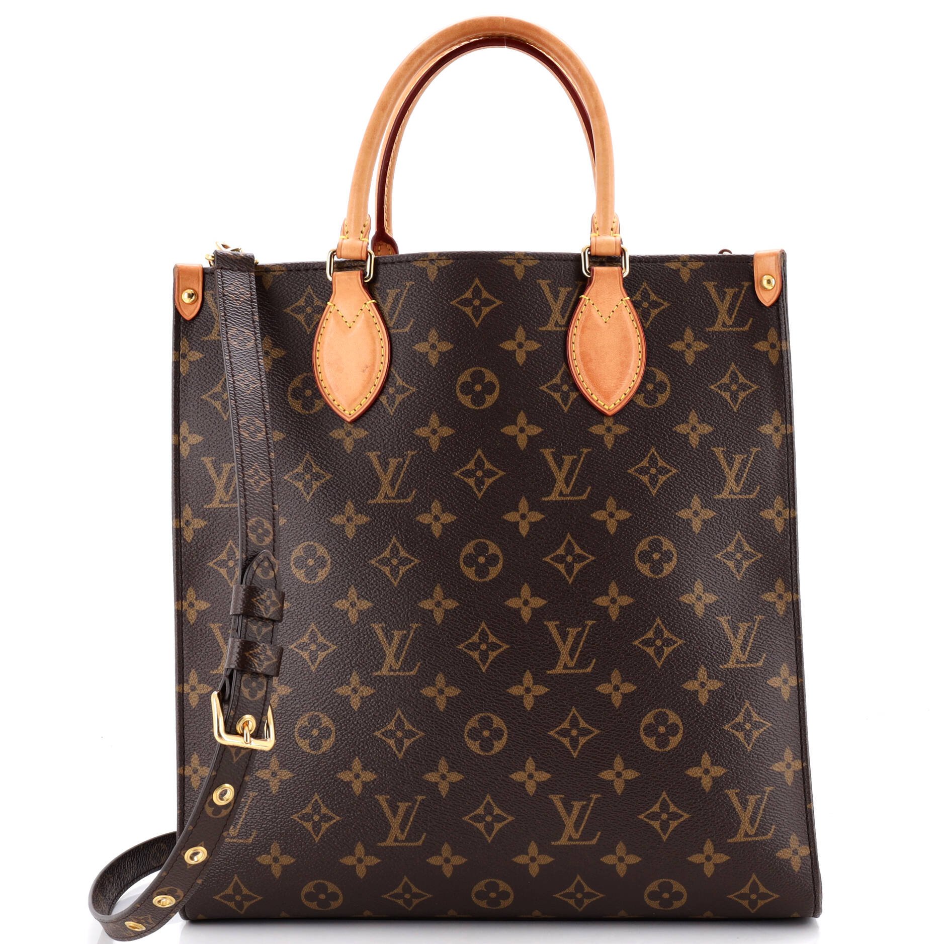 Sac Plat NM Bag Monogram Canvas PM