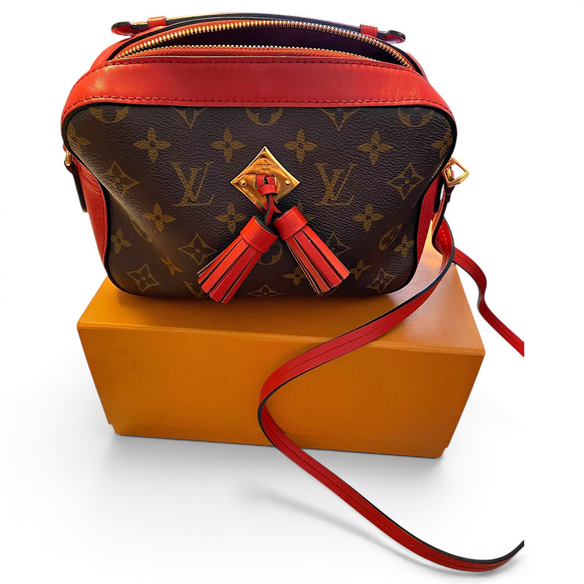 Saintonge leather crossbody bag
