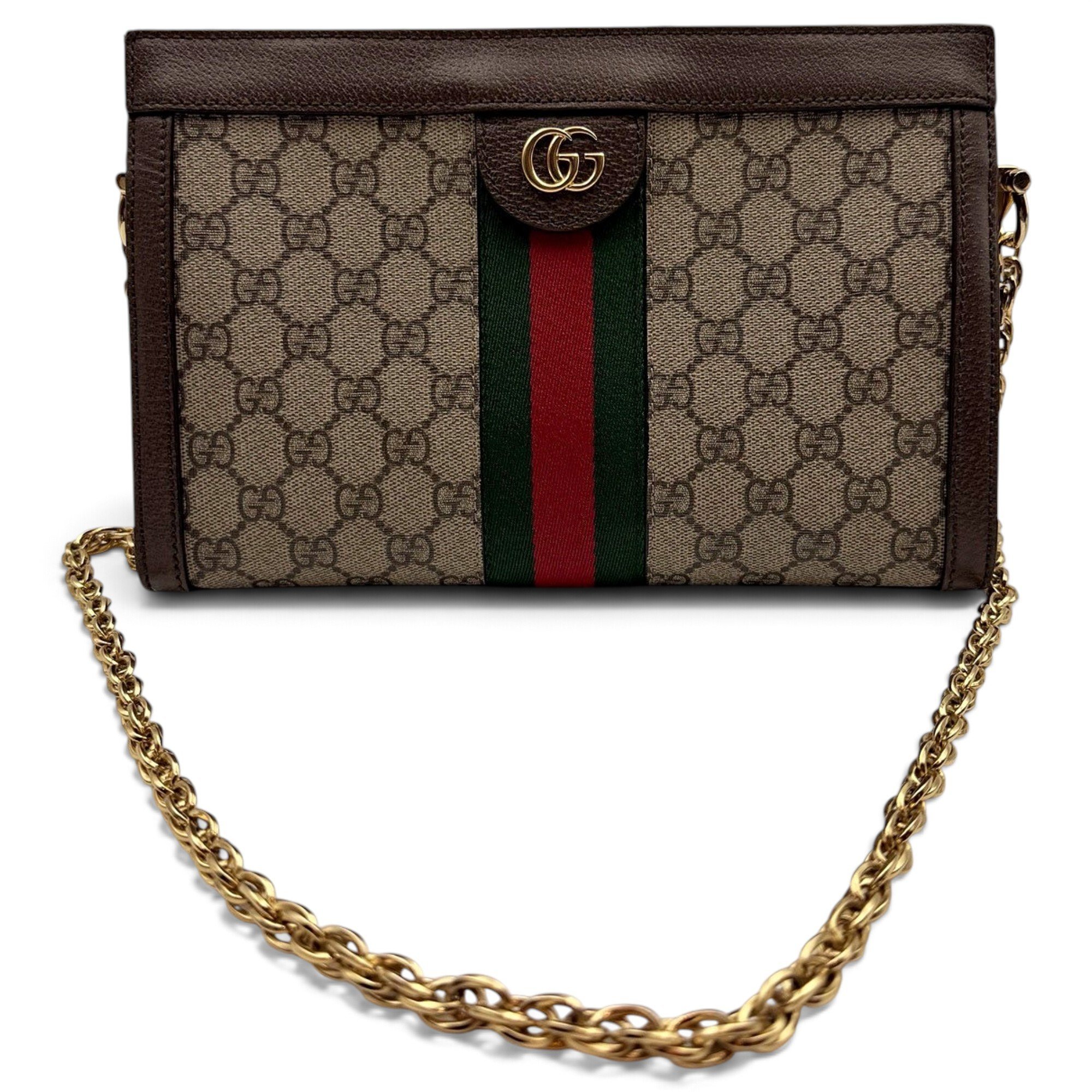 Ophidia Chain leather handbag