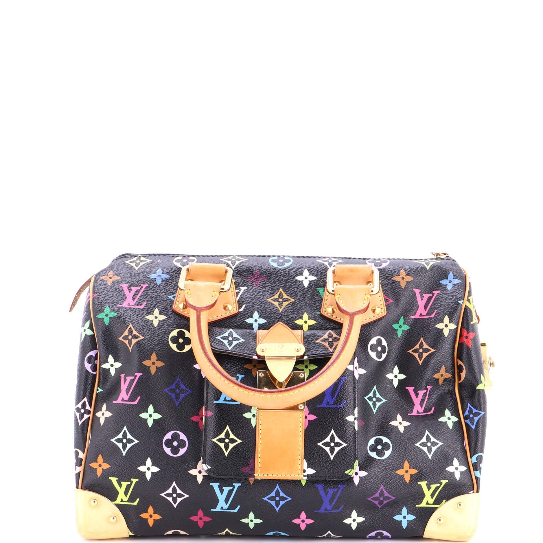 Speedy Handbag Monogram Multicolor 30