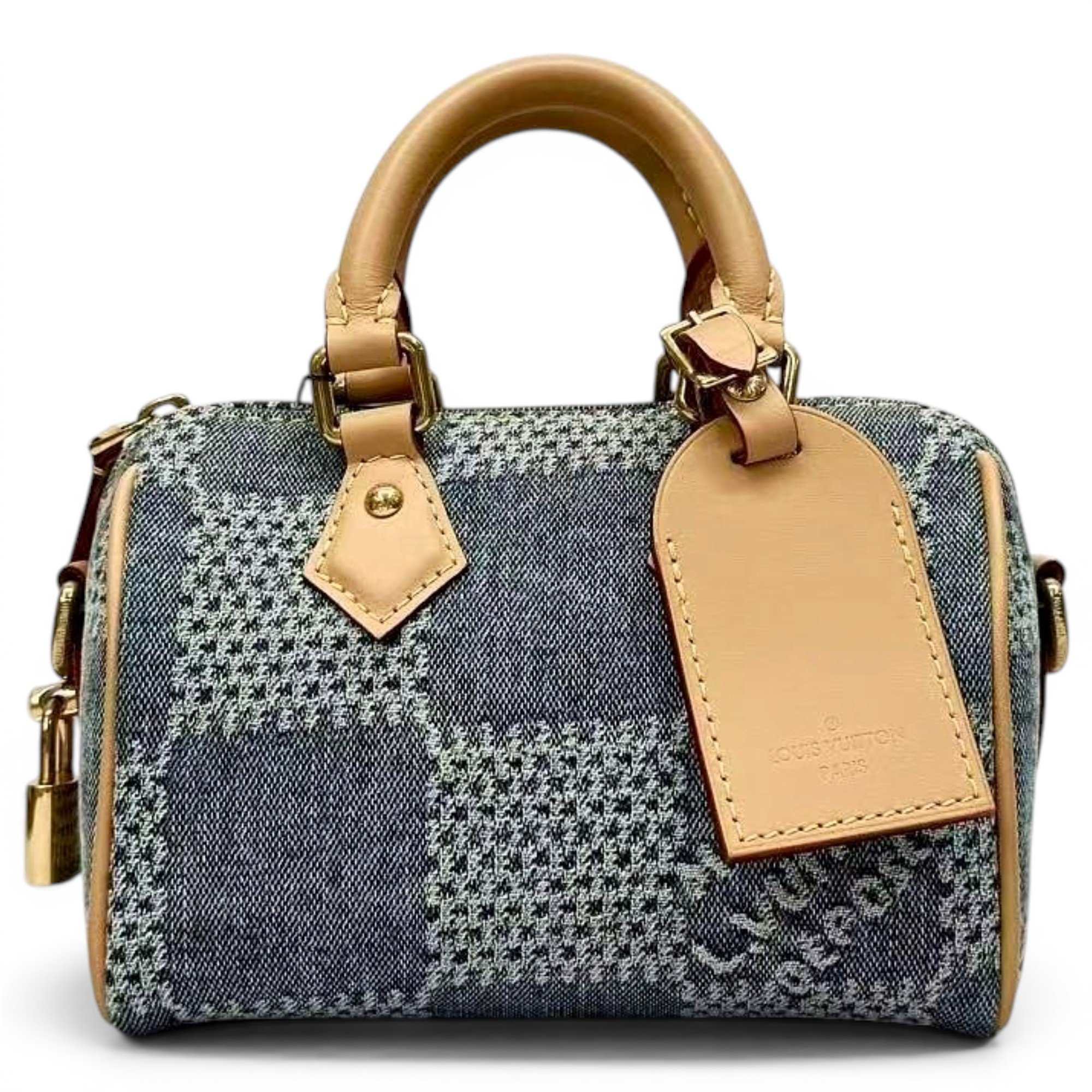 Louis Vuitton Speedy cloth handbag