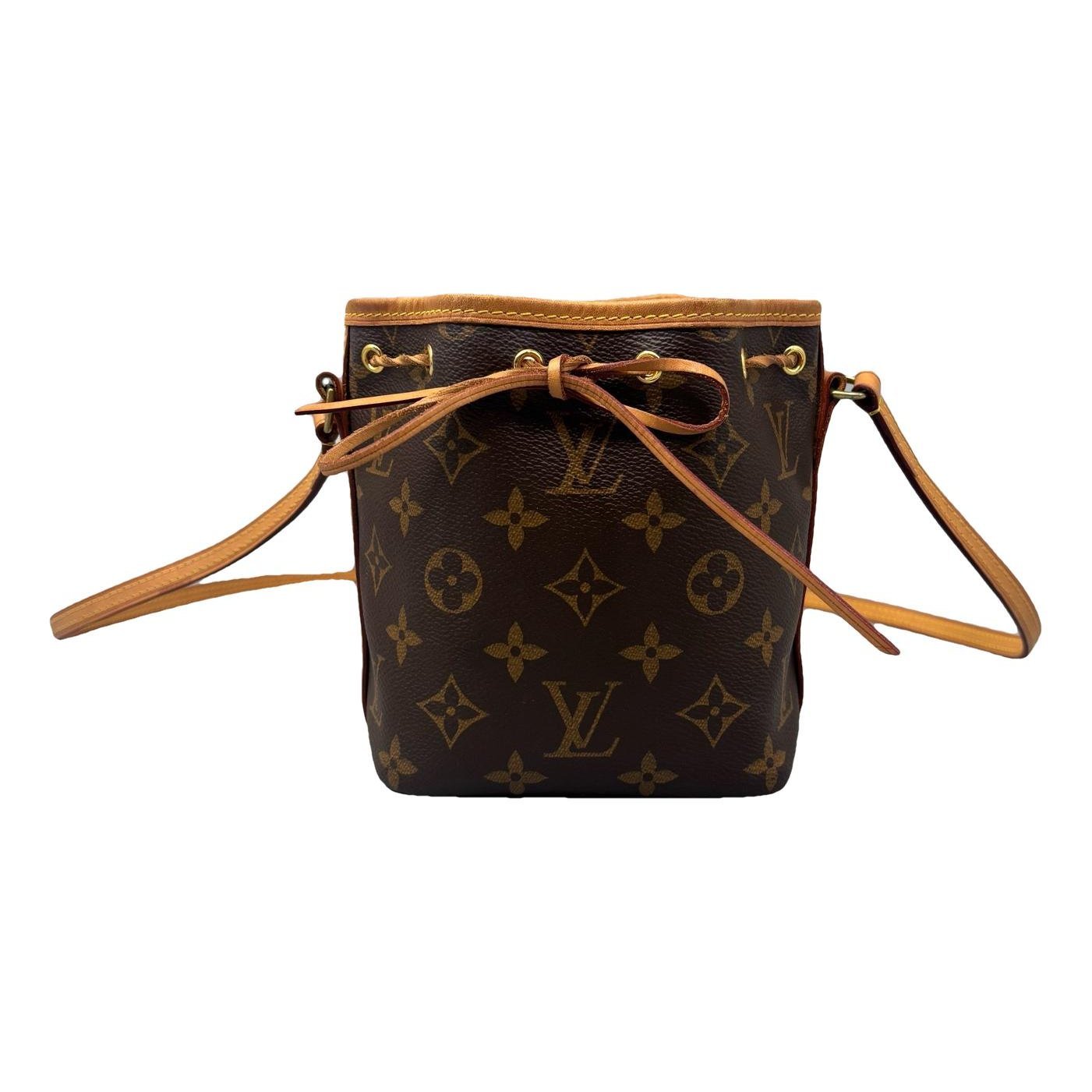 Nano Noé leather handbag