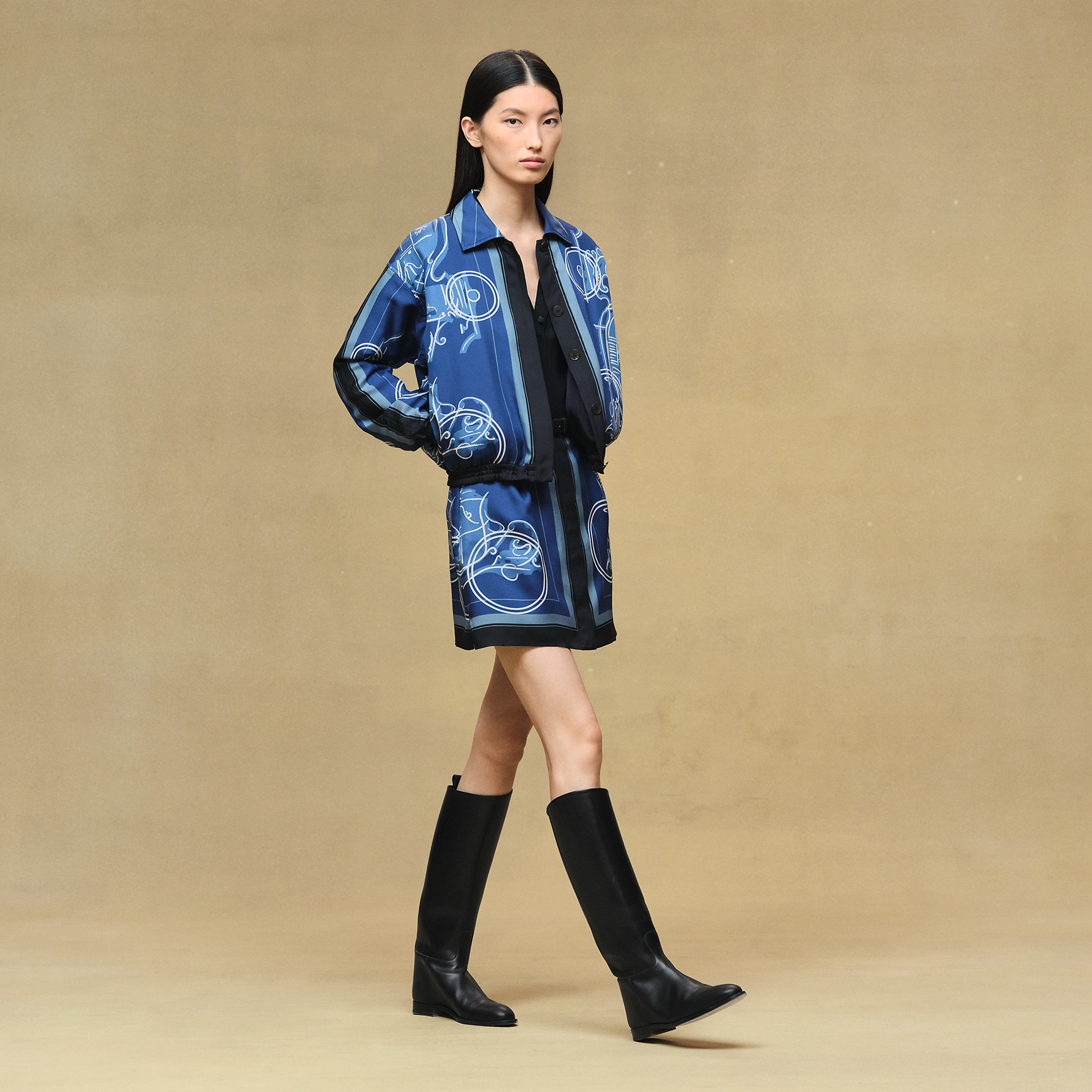 "Ex-Libris a Main Levee" jacket