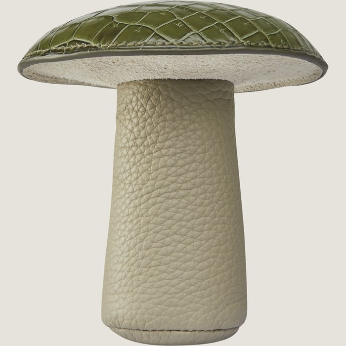 Random Mushroom Paperweight PM
