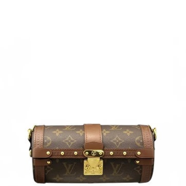Louis Vuitton Coated Canvas Papillon Trunk