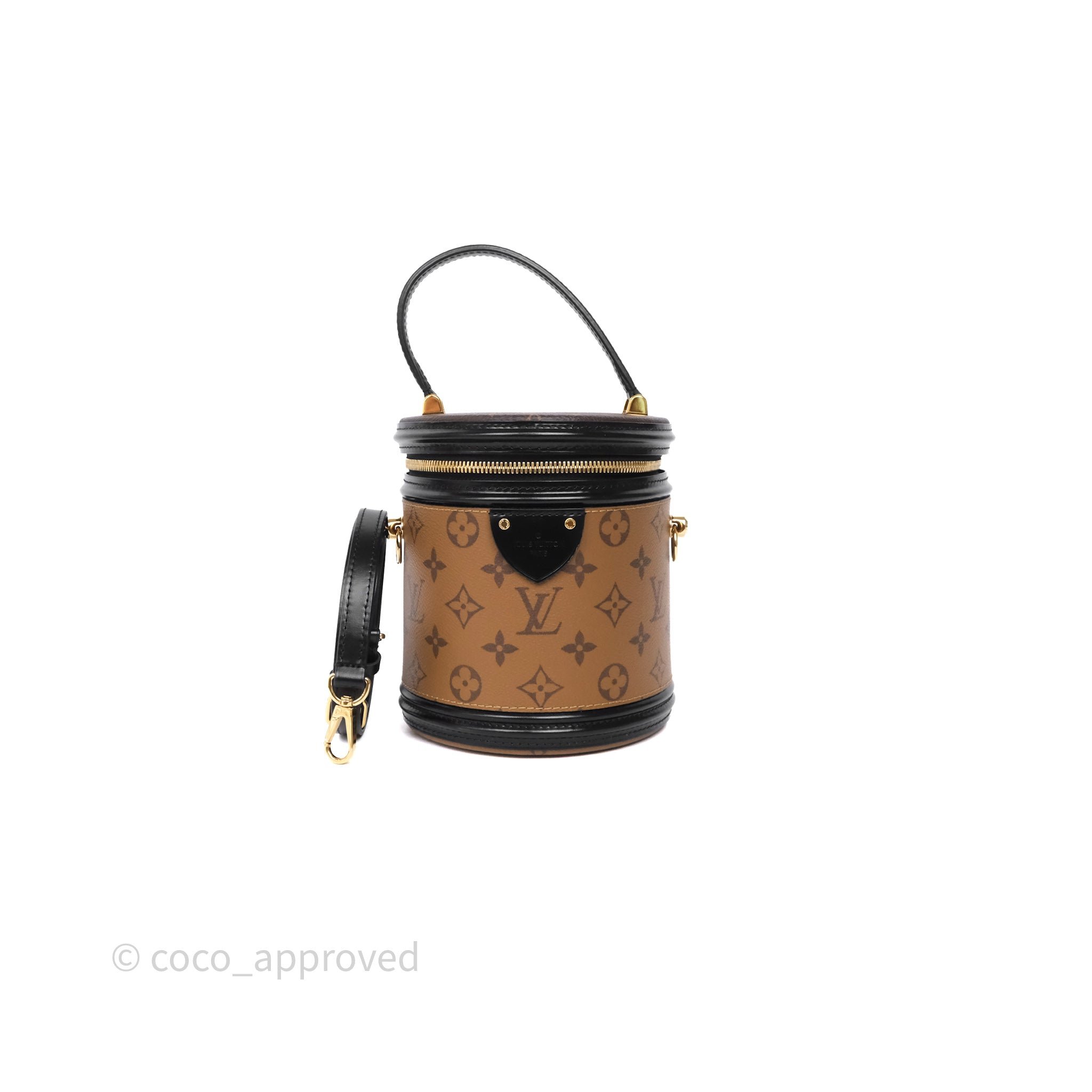 Louis Vuitton Monogram Canvas Reverse Cannes Bag