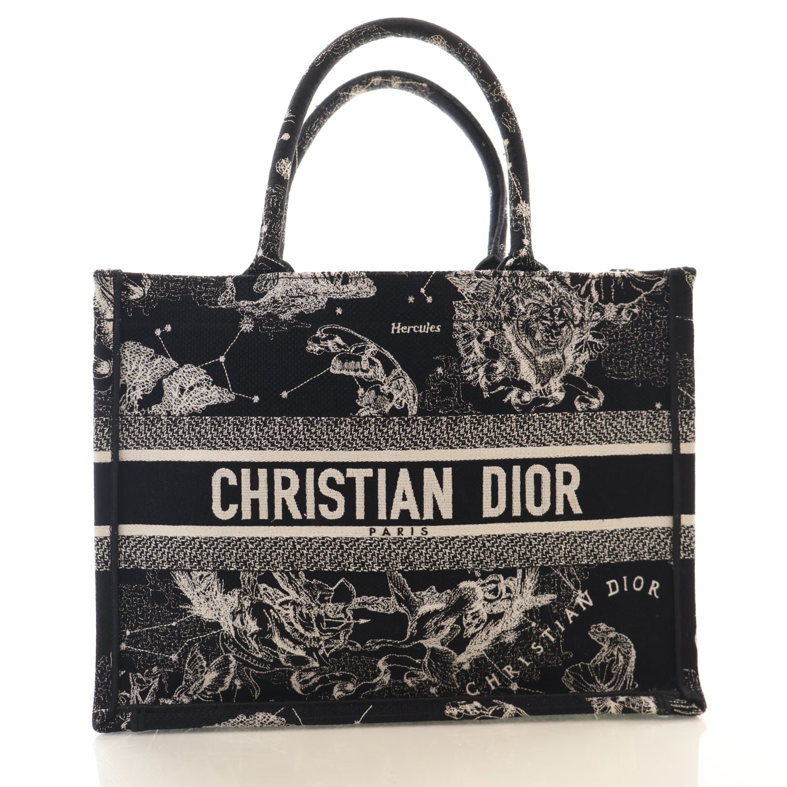 Christian Dior Medium Zodiac Toile De Jouy Book Tote