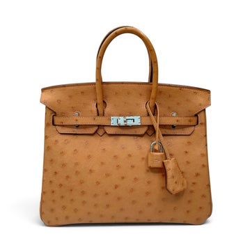 Ostrich Birkin 25