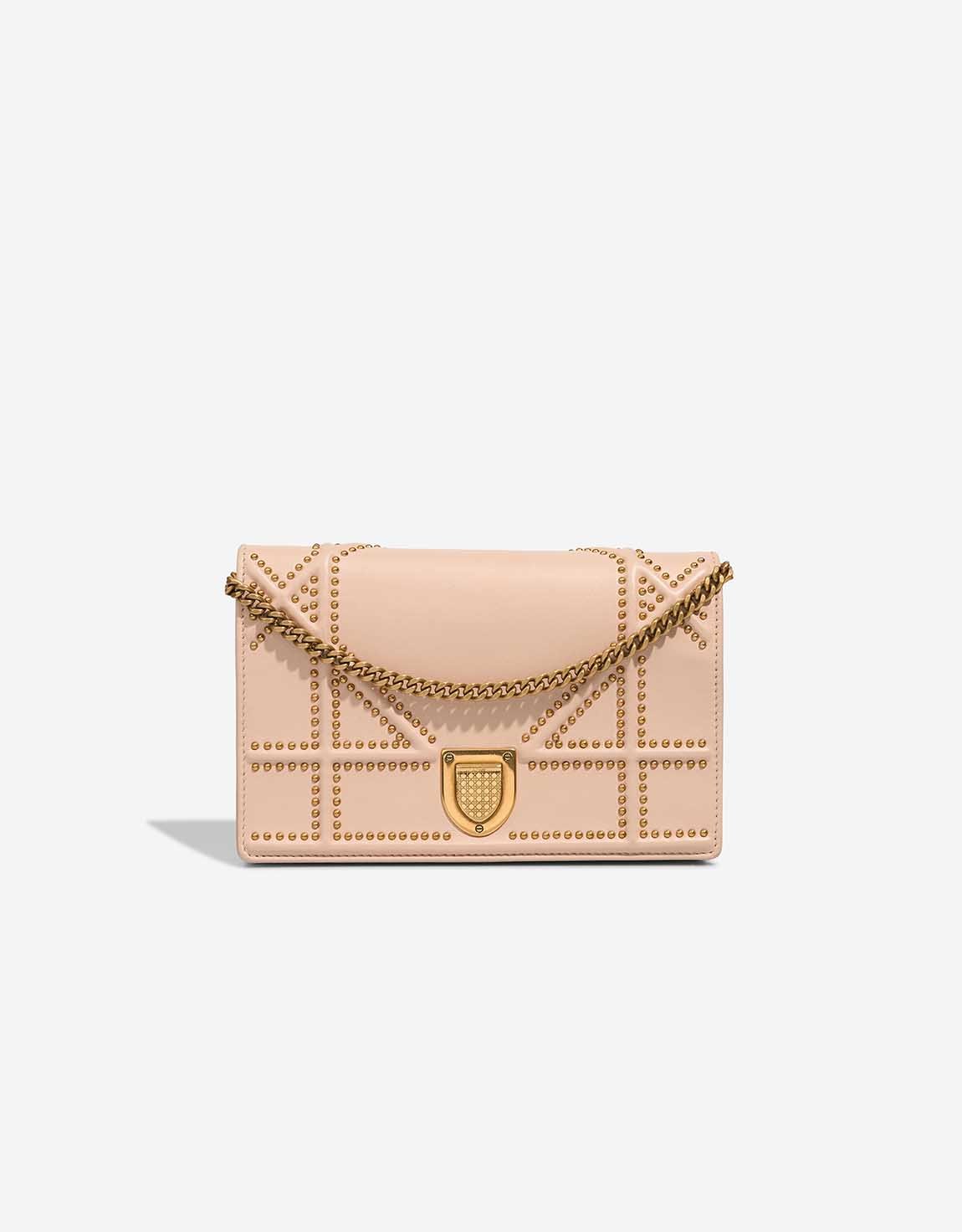 
		Diorama Small Calf Dusty Rose    