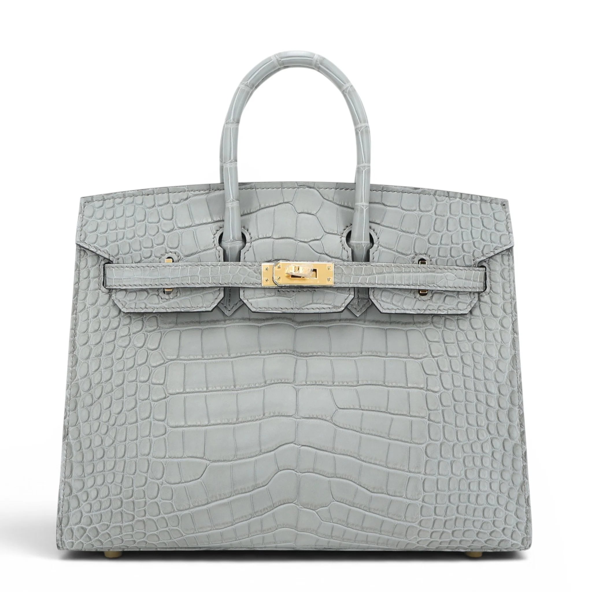 Brand New ( Rank N ) HERMÈS Birkin 25 Gris Ciment (0V) Matte Alligator Gold hardware K (2025)