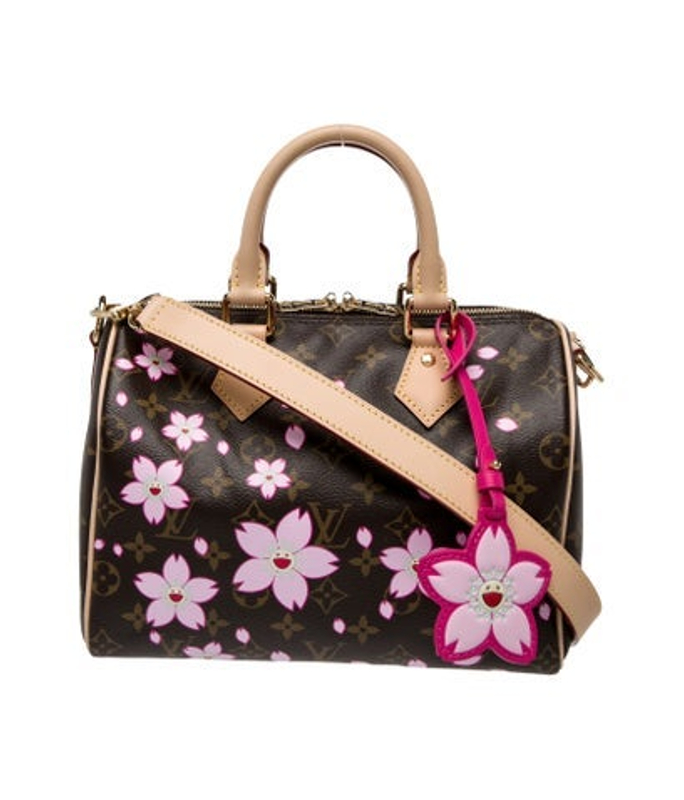 Louis Vuitton Vuitton Lv Monogram Speedy Bandouliere 25 2025