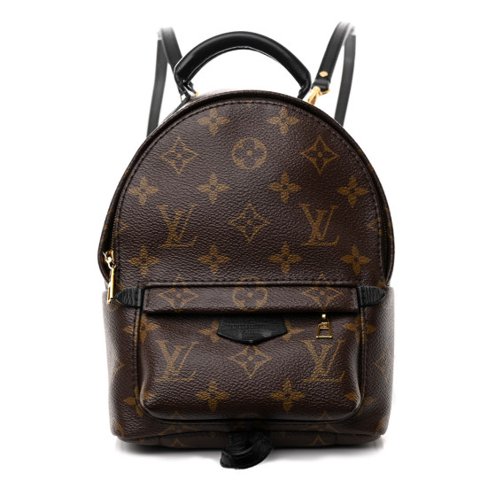 Louis Vuitton Monogram Palm Springs Backpack Mini