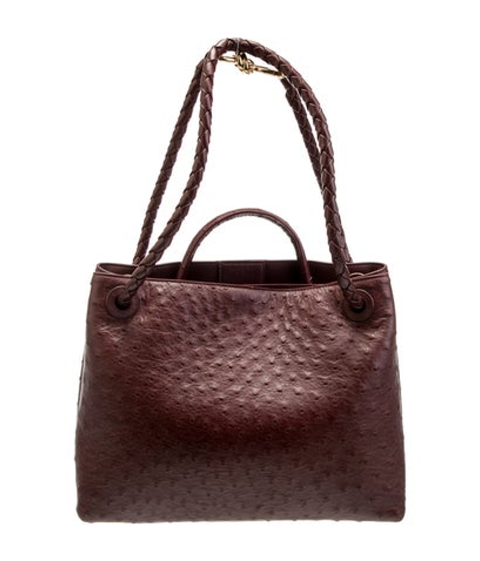 Bottega Veneta Veneta Ostrich Andiamo Medium