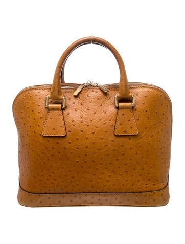 Ostrich Top Handle Bag