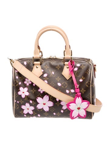 LV Monogram Speedy 25 2025
