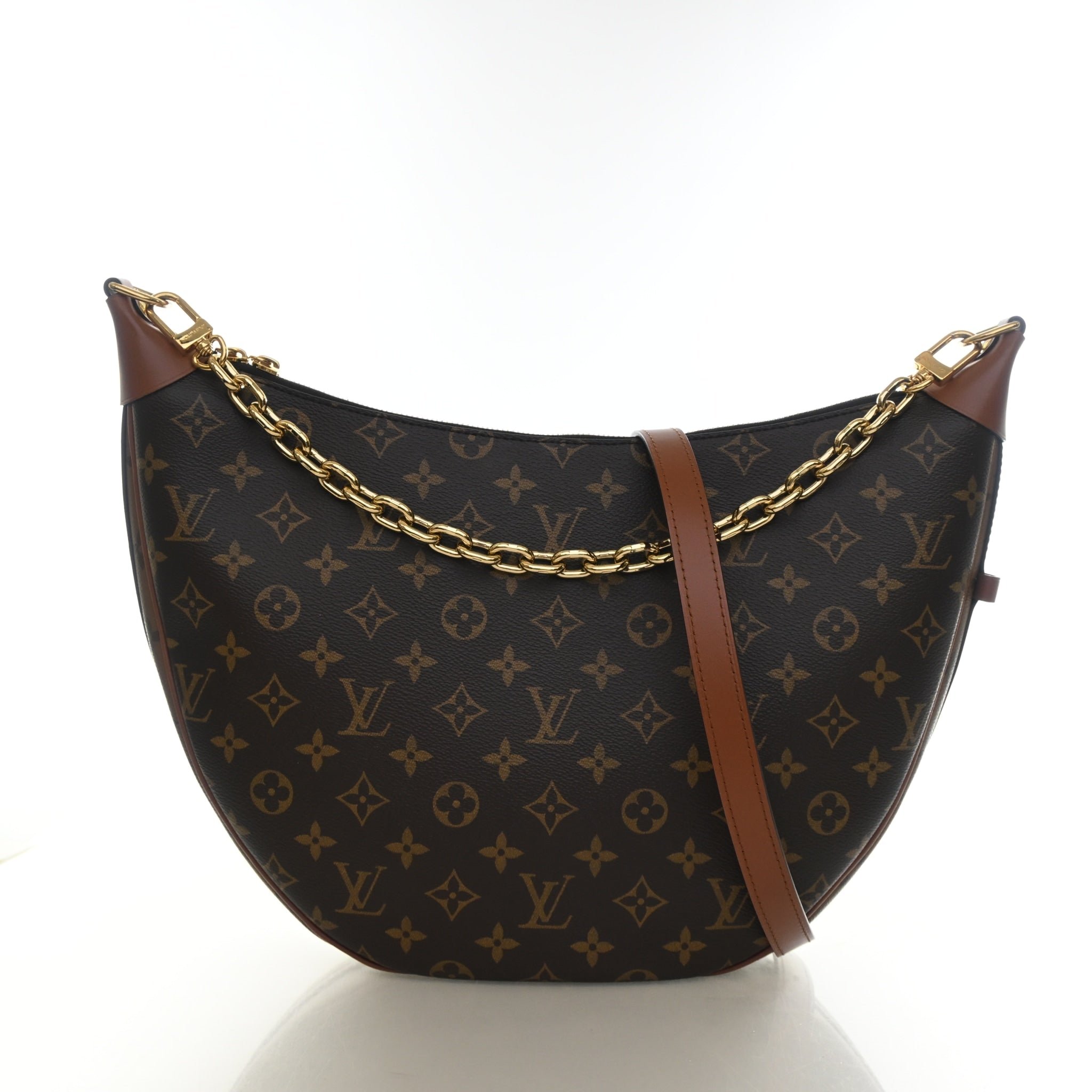 Louis Vuitton Monogram Loop Hobo