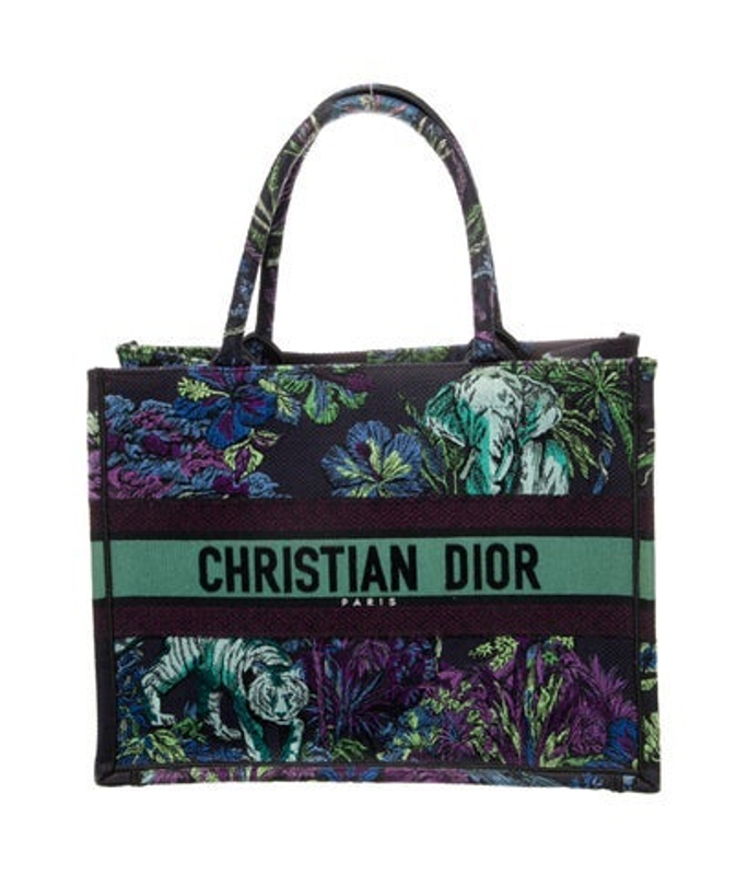 Dior Dior Canvas Book Medium 2023