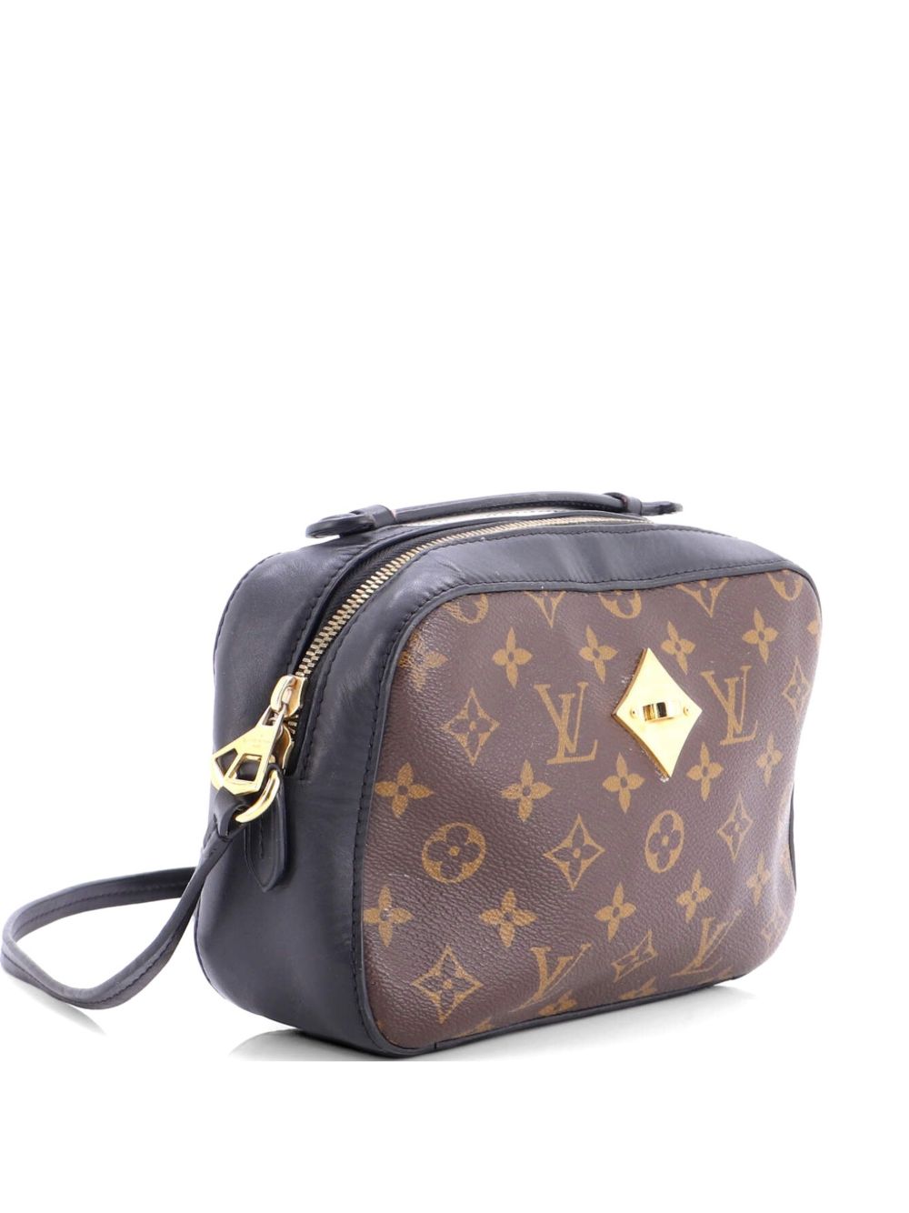 Saintonge Handbag Monogram Canvas with Leather crossbody bag