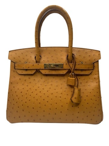 Hermes Ostrich Birkin 30