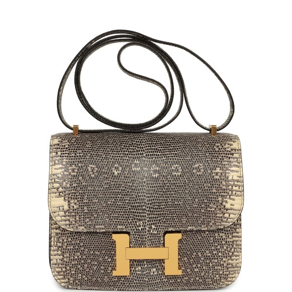 Hermes Constance 18 Ombre Shiny Varanus Salvator Lizard Gold Hardware