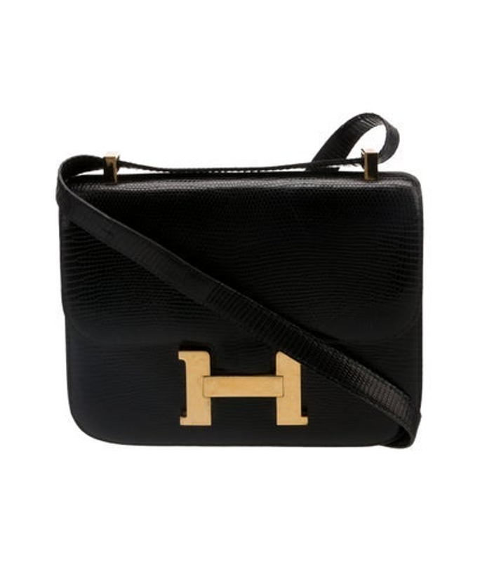 Hermes Varanus Niloticus Lizard Constance 23