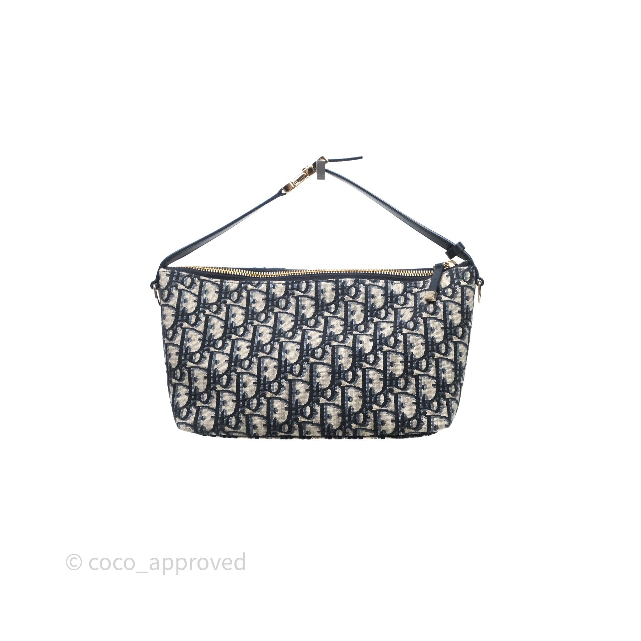 Christian Dior Medium Travel Nomad Pouch Light Gold Hardware