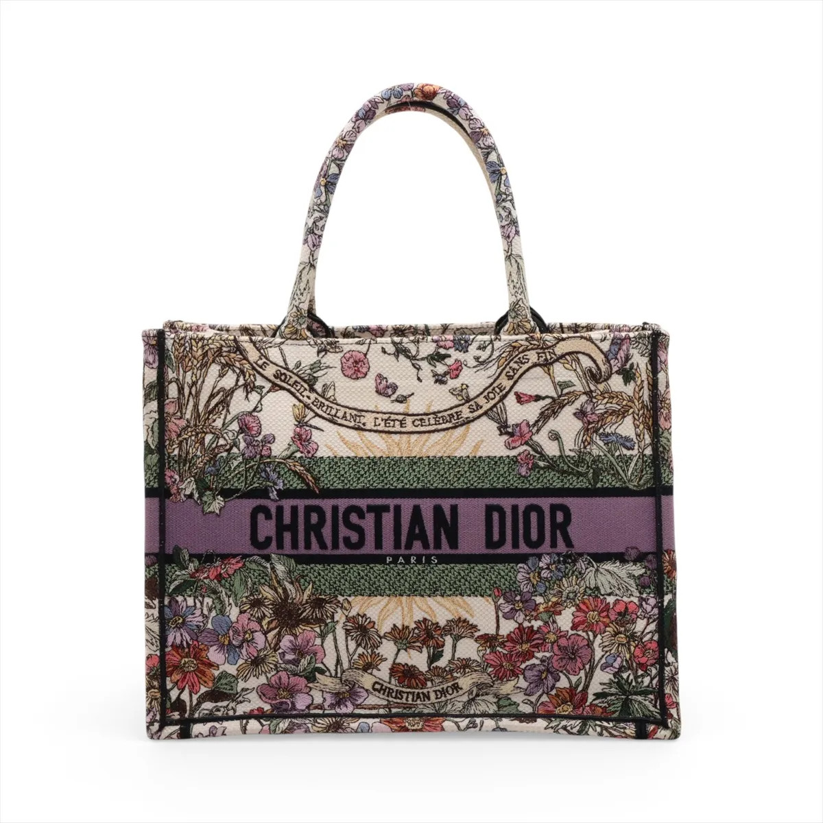 Christian Dior Book Tote Medium canvas Tote bag Multicolor