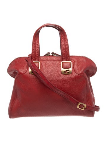 Leather Chameleon Handbag
