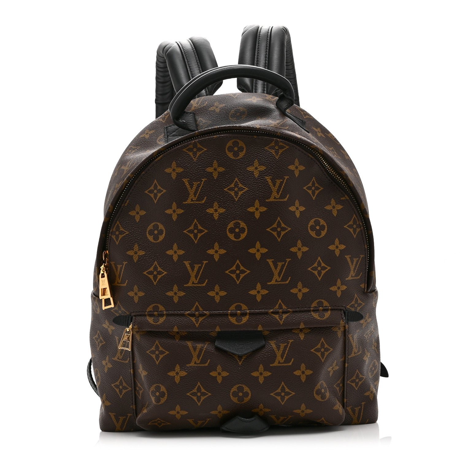 Louis Vuitton Louis Vuitton Monogram Palm Springs Backpack MM