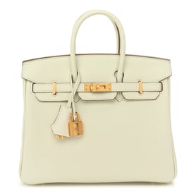 Hermes Togo Birkin 25 Mushroom