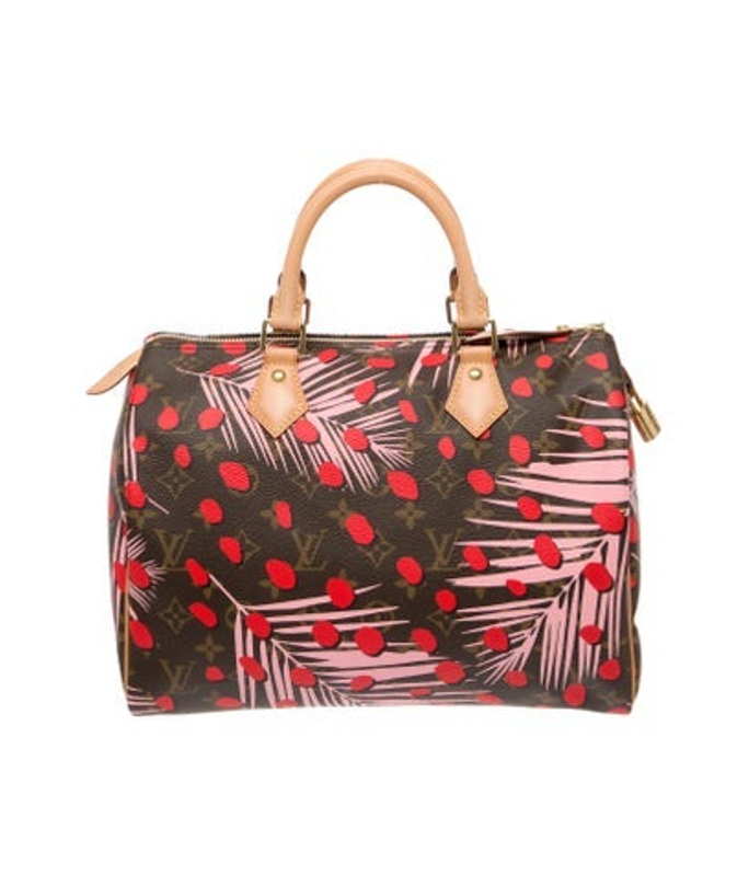 Louis Vuitton Vuitton Lv Monogram Speedy 30