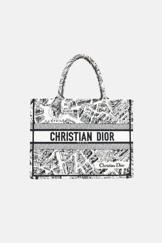 Plan De Paris Medium Book Tote Bag