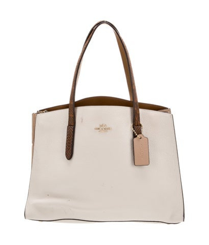 Coach Signature Tote