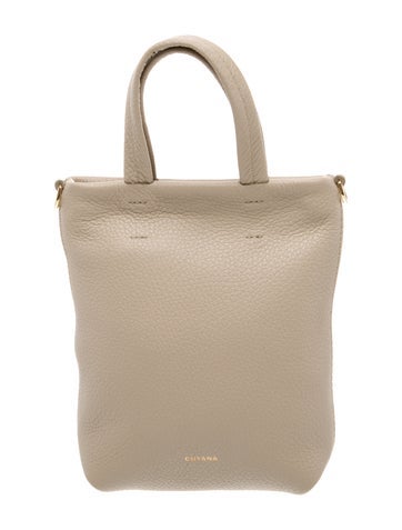 Cuyana Leather Top Handle Bag