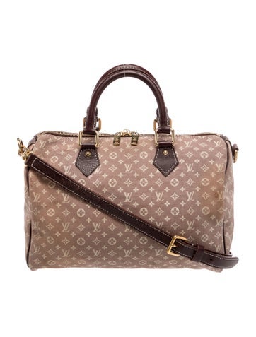 Monogram Mini Lin Speedy 30