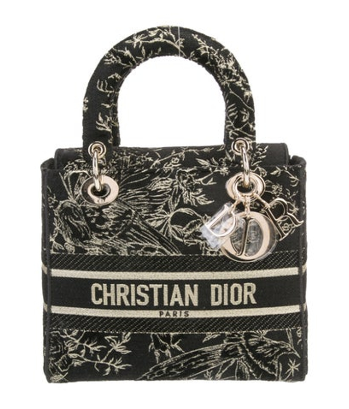 Dior Dior Canvas D Lite Medium 2022