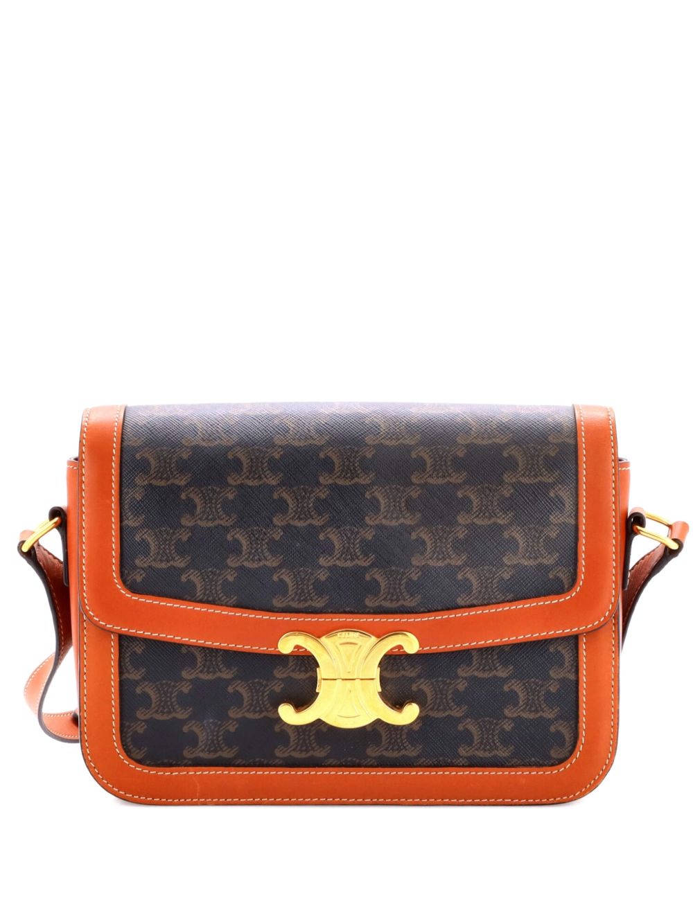 Triomphe Triomphe Coated Canvas Medium shoulder bag