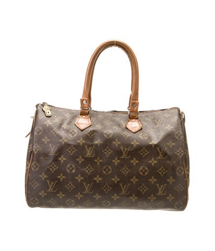 Louis Vuitton Vuitton Lv Monogram Speedy 30
