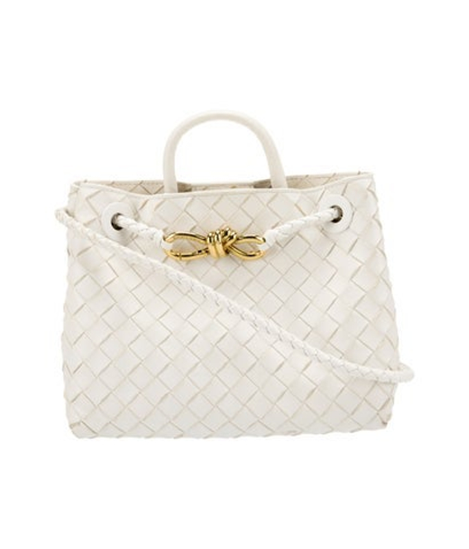 Bottega Veneta Veneta Intrecciato Andiamo Small