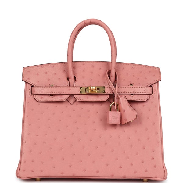 Hermes Hermes Birkin 25 Terre Cuite Ostrich Gold Hardware