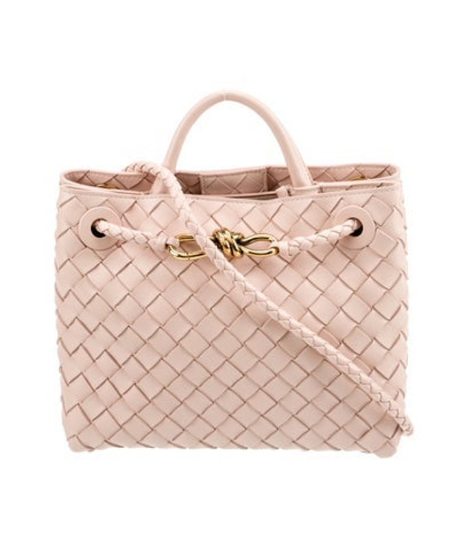 Bottega Veneta Veneta Intrecciato Andiamo Small