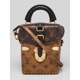 Louis Vuitton Reverse Monogram Canvas Camera Box Bag