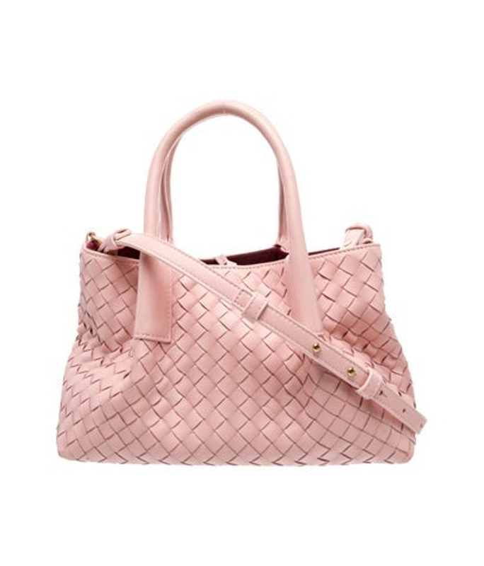 Bottega Veneta Veneta Leather Pinacoteca Small