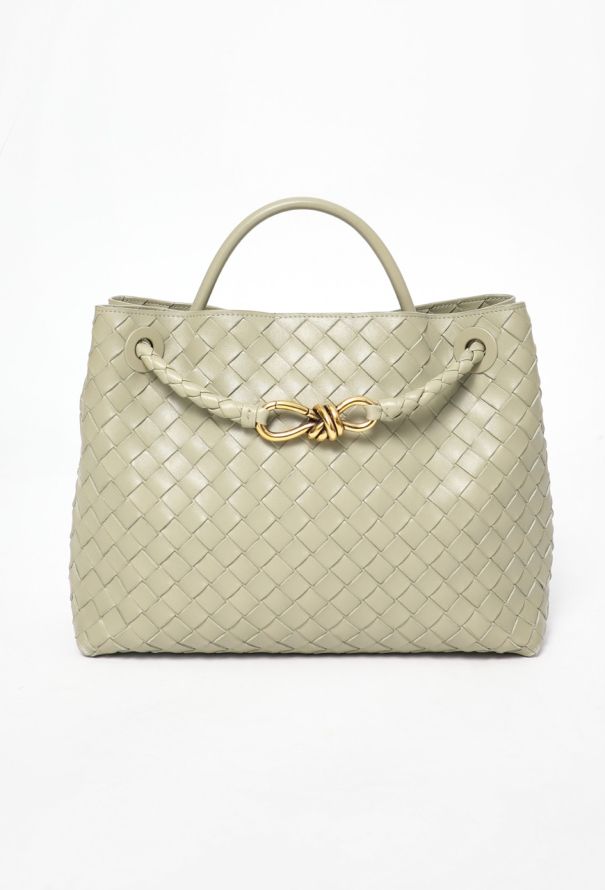 Bottega Veneta 2023 Medium Andiamo Tote Bag