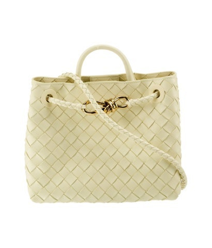 Bottega Veneta Veneta Intrecciato Andiamo Small