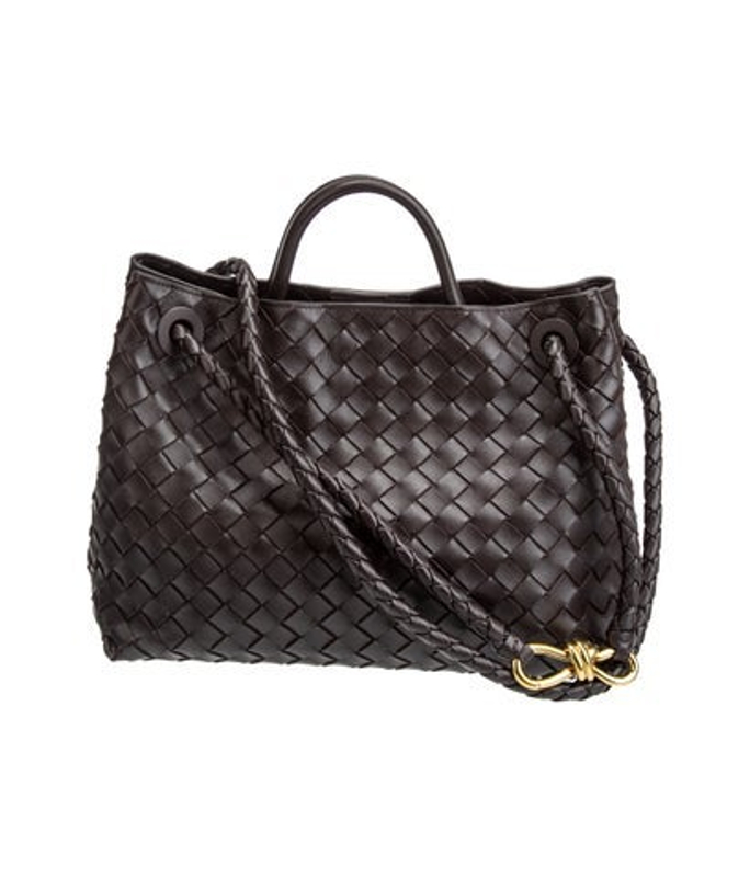 Bottega Veneta Veneta Intrecciato Andiamo Small